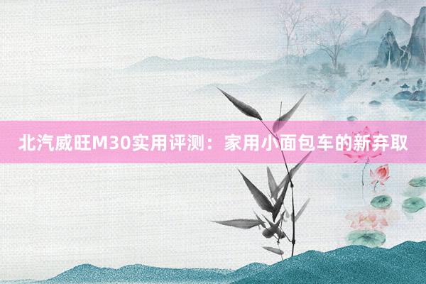 北汽威旺M30实用评测：家用小面包车的新弃取